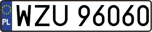 WZU96060