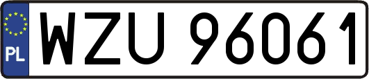WZU96061
