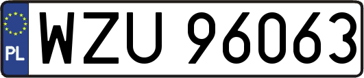 WZU96063
