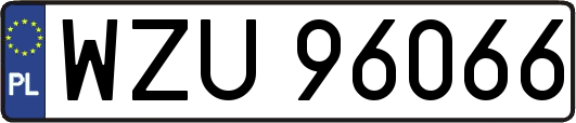 WZU96066