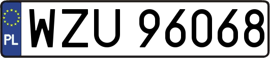 WZU96068