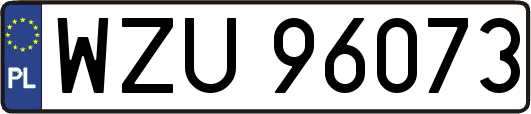 WZU96073