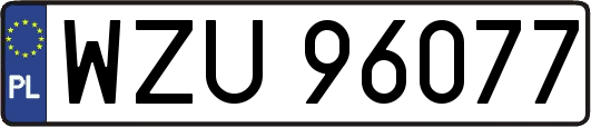 WZU96077