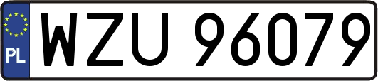 WZU96079