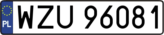 WZU96081