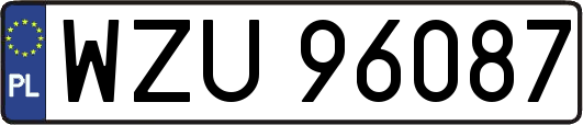 WZU96087