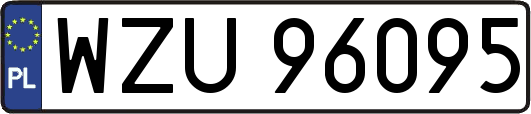 WZU96095