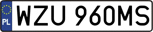 WZU960MS