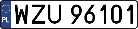 WZU96101