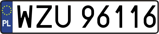 WZU96116