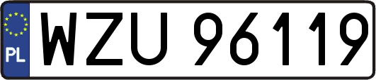 WZU96119