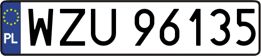 WZU96135
