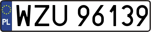 WZU96139
