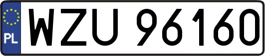 WZU96160