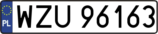 WZU96163