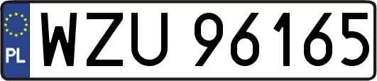 WZU96165
