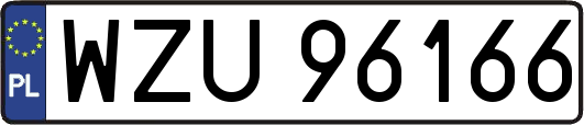 WZU96166