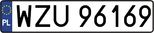 WZU96169