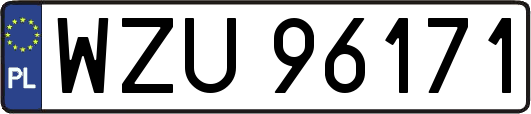 WZU96171