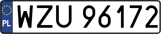 WZU96172