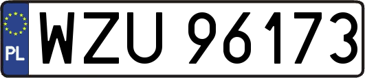WZU96173