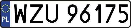 WZU96175