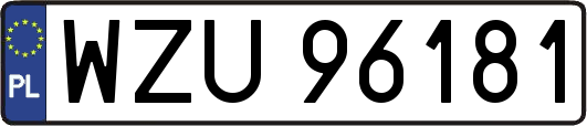 WZU96181