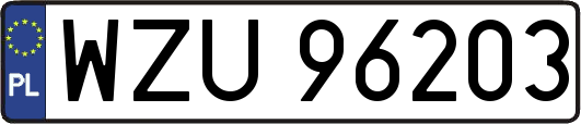 WZU96203