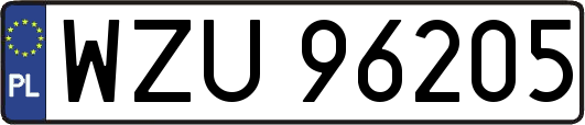WZU96205