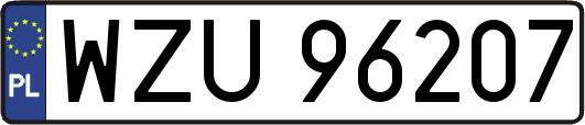 WZU96207
