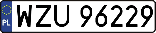 WZU96229