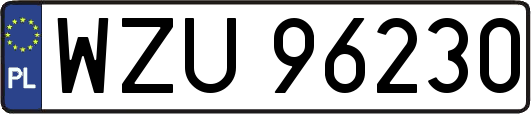 WZU96230