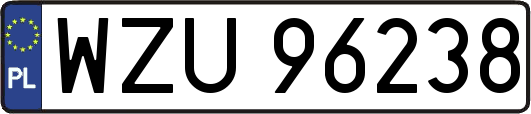 WZU96238