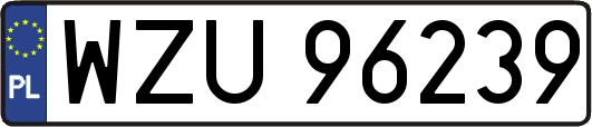 WZU96239