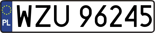 WZU96245