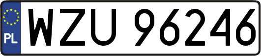 WZU96246