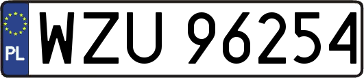 WZU96254