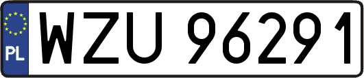 WZU96291