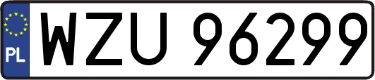 WZU96299