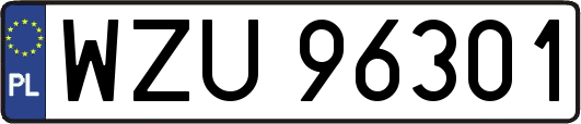 WZU96301