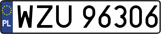 WZU96306