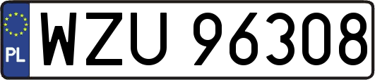 WZU96308