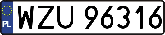 WZU96316