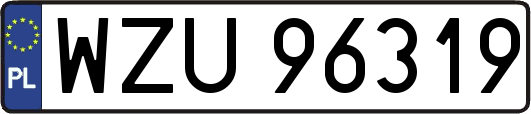 WZU96319