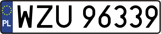 WZU96339