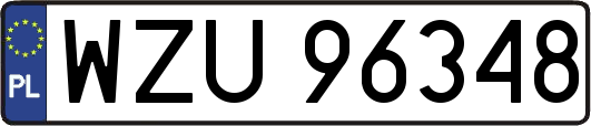 WZU96348