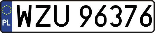 WZU96376