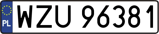 WZU96381