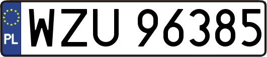 WZU96385