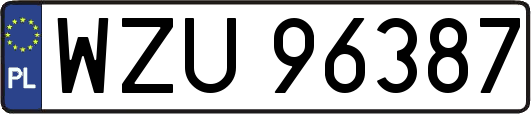 WZU96387